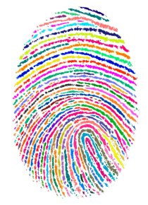 istock_000023675965medium